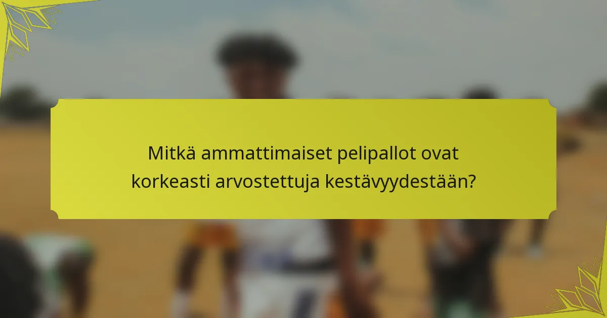 Mitkä ammattimaiset pelipallot ovat korkeasti arvostettuja kestävyydestään?