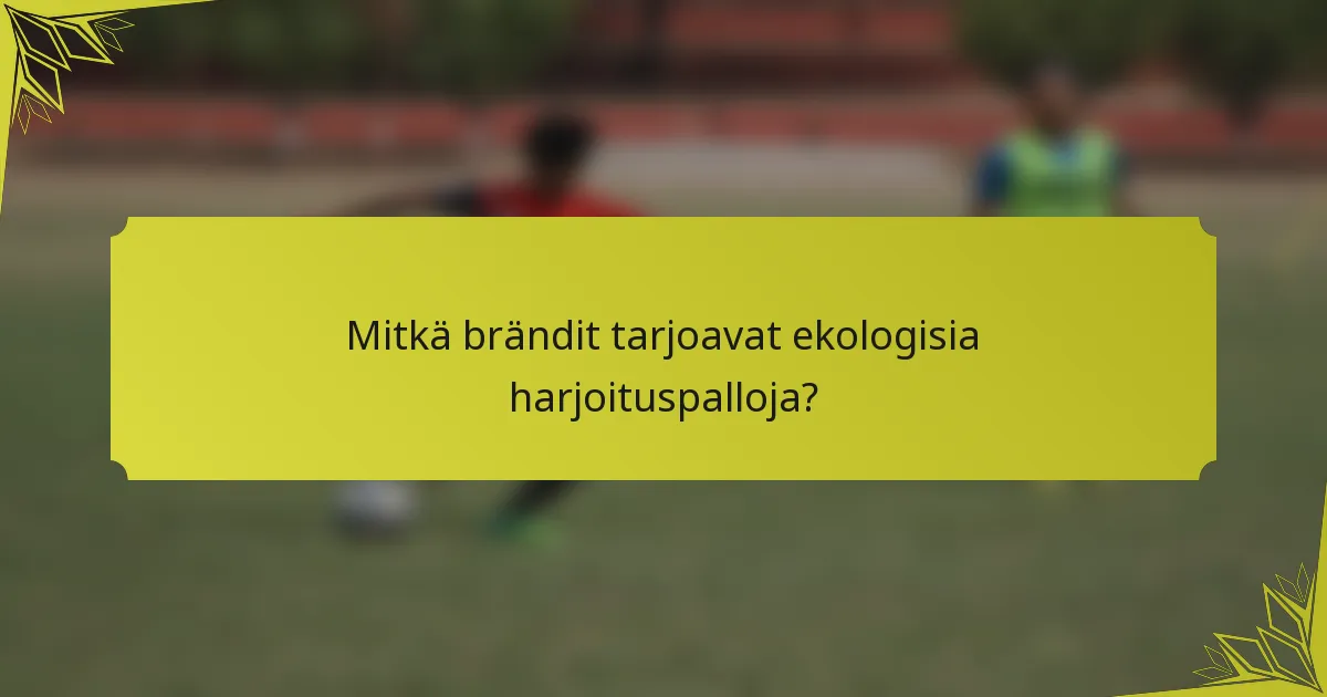 Mitkä brändit tarjoavat ekologisia harjoituspalloja?