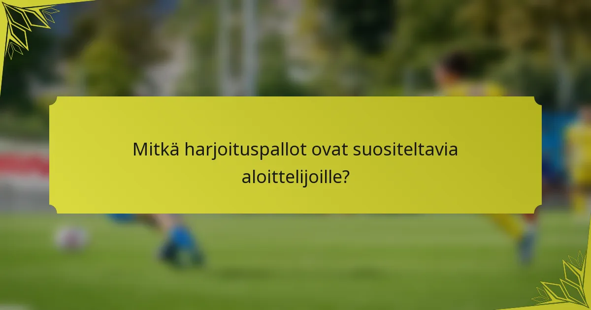 Mitkä harjoituspallot ovat suositeltavia aloittelijoille?