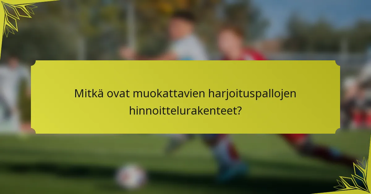 Mitkä ovat muokattavien harjoituspallojen hinnoittelurakenteet?