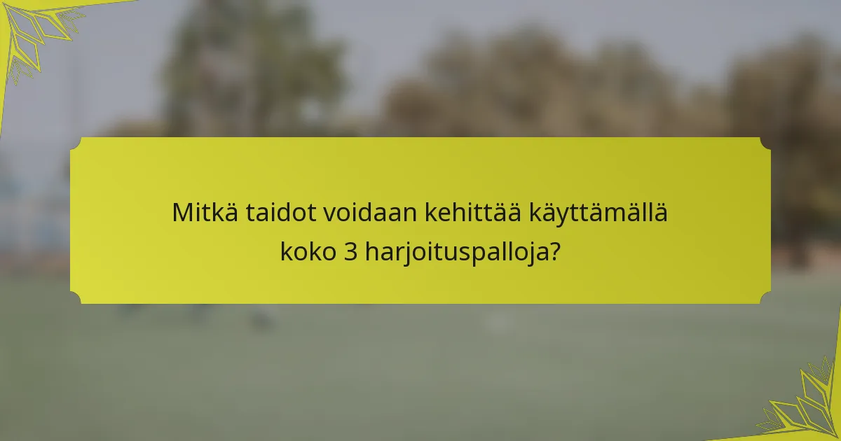 Mitkä taidot voidaan kehittää käyttämällä koko 3 harjoituspalloja?